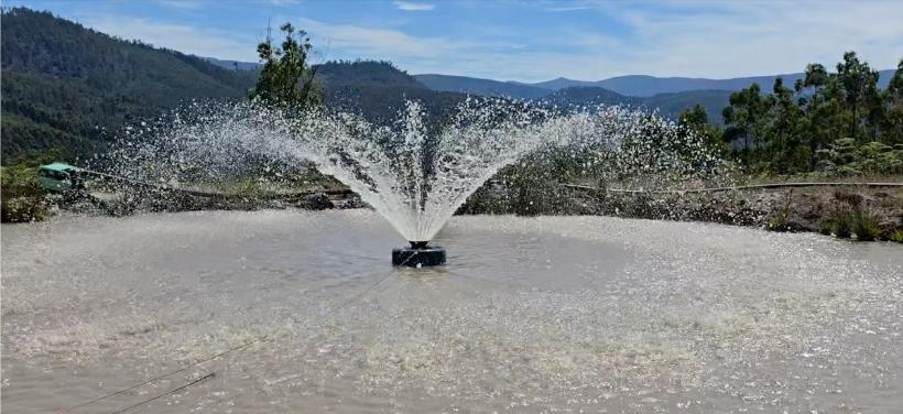 Reefe RFA240 floating dam aeration pump and fountain operating