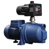 Reefe RSWE60 shallow well pump with pressure controller