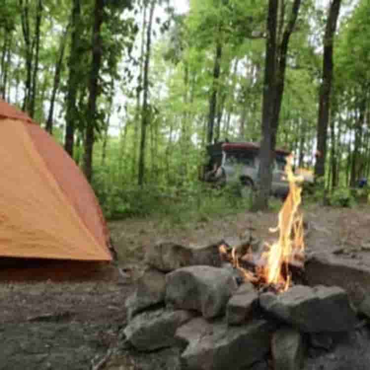 12v camping water pumps - Water Pumps Now
