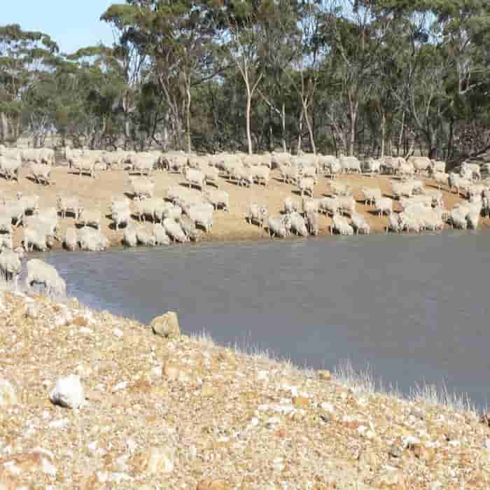 dam water transfer farm pumps - Water Pumps Now
