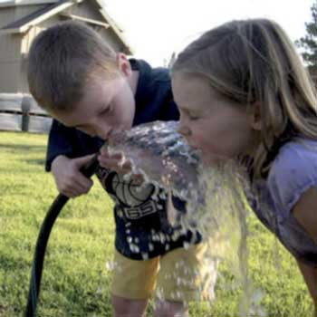Garden water pump and domestic pressure pumps - Water Pumps Now