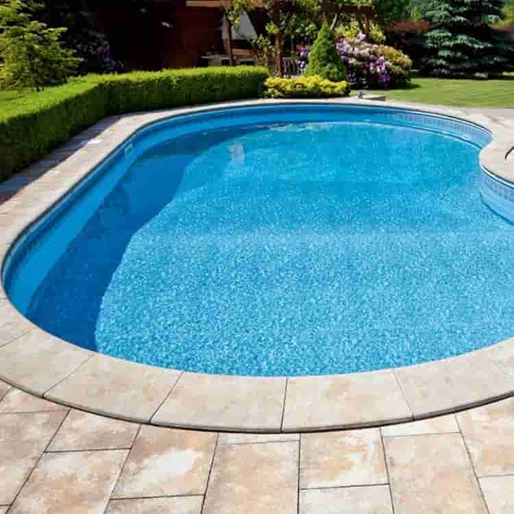 Swimming pool pumps