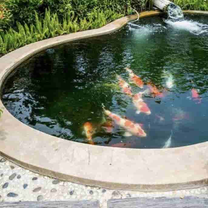 pond and water garden pumps - Water Pumps Now
