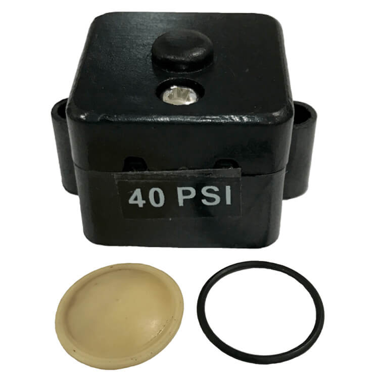 Escaping Outdoors 12v FL diaphragm water pump 40 PSI pressure switch + seal kit